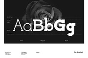 Billionary, a Slab Serif Font by din-studio.com (Thumbnail 8 of 11)