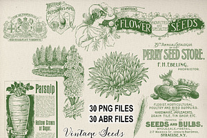 Vintage Garden & Seeds Brushes Set