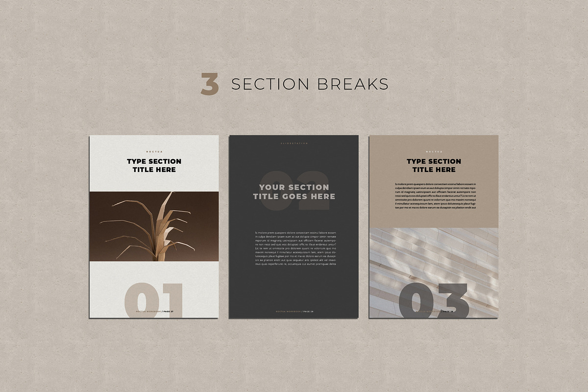 Noctua Workbook Template, a Brochure Template by SlideStation (Photo 12 of 18)