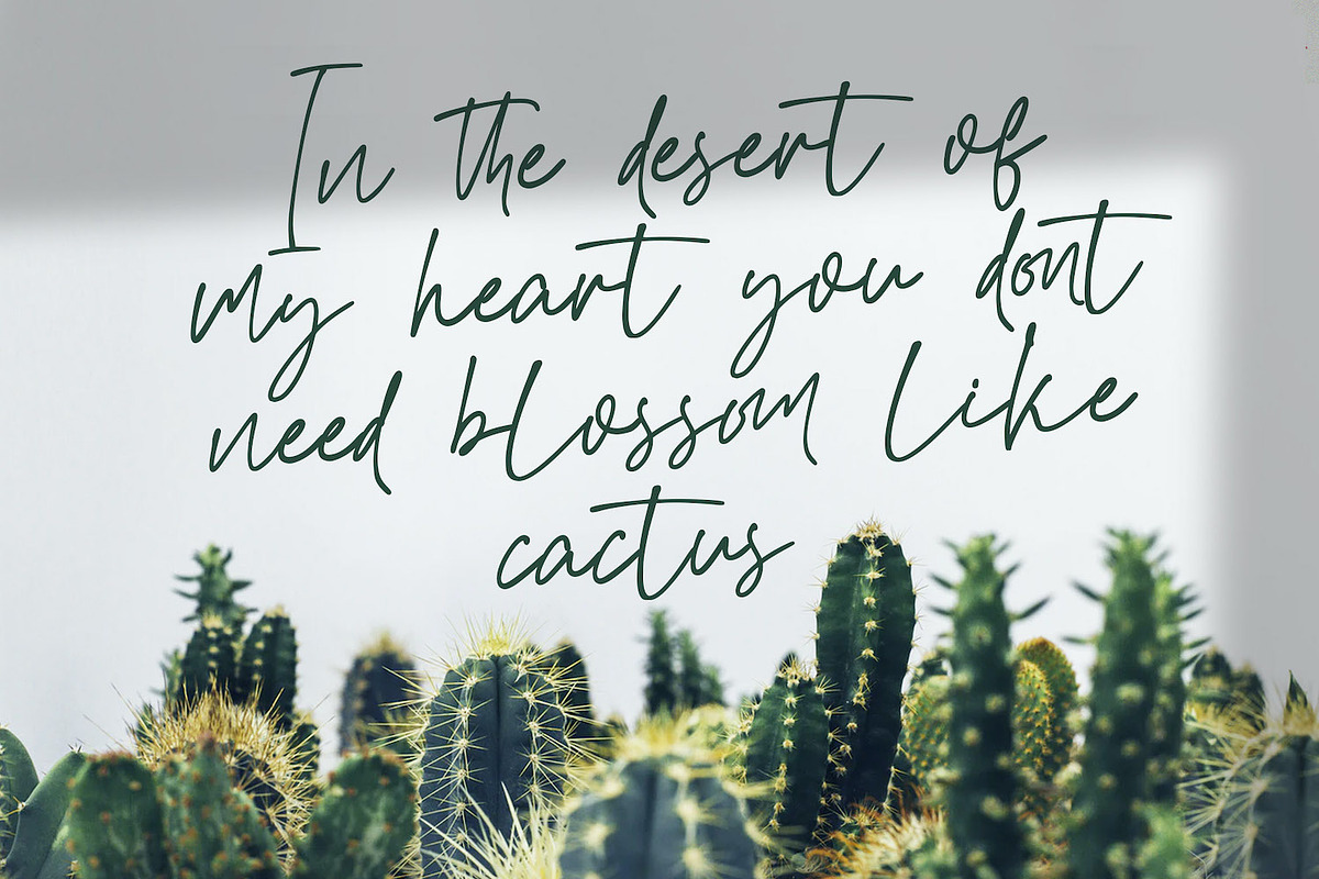 Attang Script - Handwritten Font, a Script Font by StringLabs (Photo 4 of 12)
