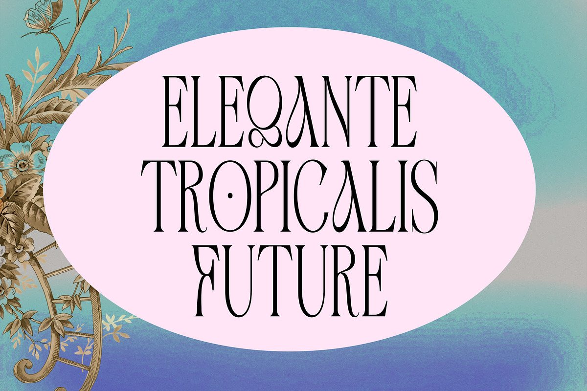 Astone Nouvea, a Sans Serif Font by Gatype (Photo 2 of 9)