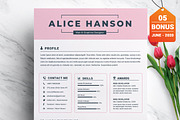 Resume/CV Bundle | 200+ for $29, a Resume Template by ResumeInventor (Thumbnail 121 of 207)