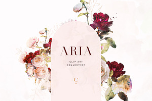 Aria - Romantic Watercolor Florals