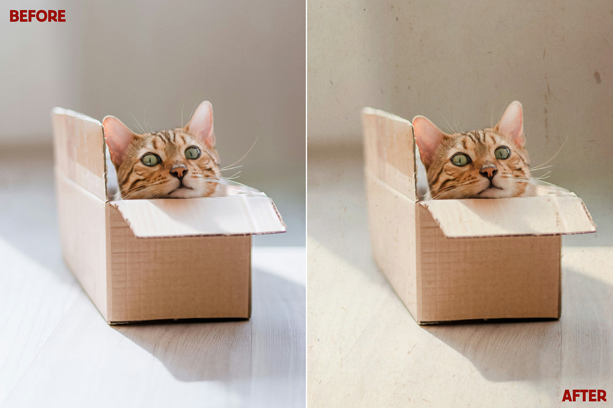 100 Kraft Paper Textures, a Texture Graphic by Bart Wesolek (Photo 7 of 8)
