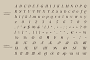 Picktea – Elegant Luxury Serif, a Serif Font by roomspace creative lab (Thumbnail 11 of 12)