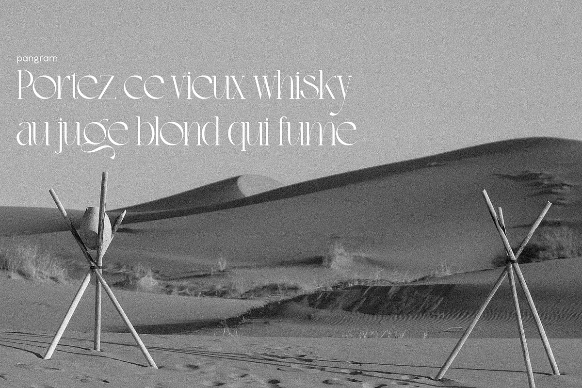 Saveya Elegant Font, a Serif Font by Hishand Studio (Photo 10 of 10)