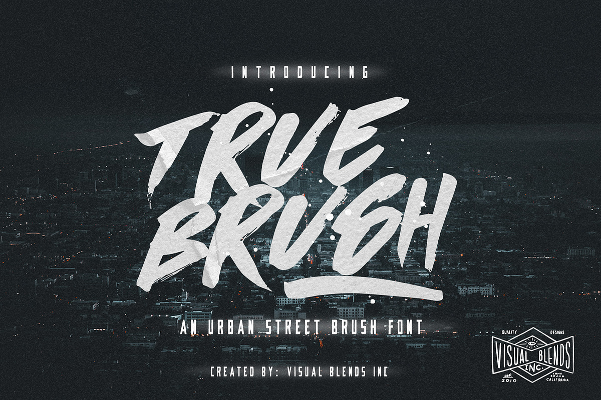 True Brush Font, a Script Font by Visual Blends (Photo 1 of 6)