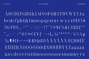 CS Aludra – Modern Serif Font, a Serif Font by Craft Supply Co. (Thumbnail 8 of 8)
