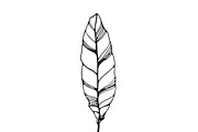 Palm Leaves svg, Botanical png, a Decorative Illustration by Watercolor_Vector Graphic (Thumbnail 23 of 25)