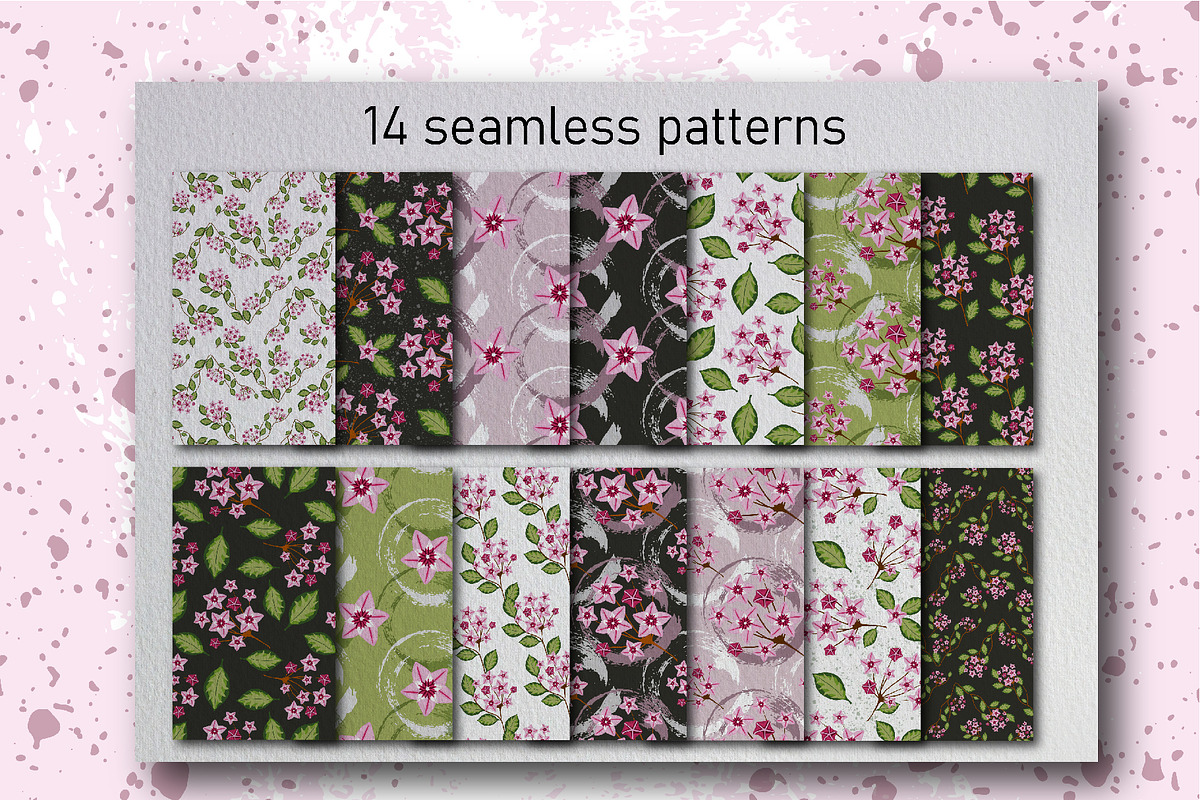 Hoya carnosa - floral collection, a Texture Illustration by LogvinArt (Photo 3 of 8)