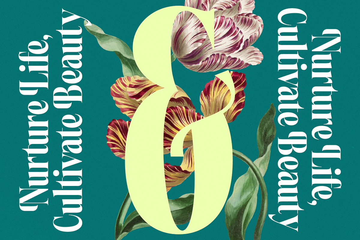 Magiction Modern Serif Display, a Serif Font by timelesstype.co (Photo 6 of 20)
