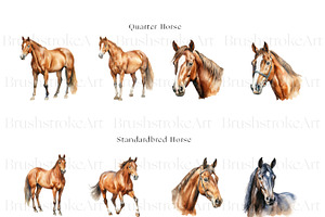 Racing Horse Clipart, Horse Breeds