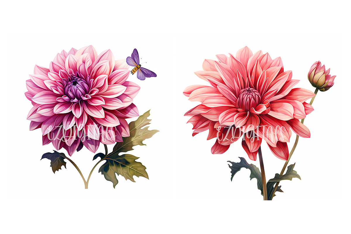 Dahlia Flower and Butterfly Clipart, an Object Graphic by EzDigitals (Photo 3 of 8)