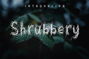Shrubbery | Sketch Font