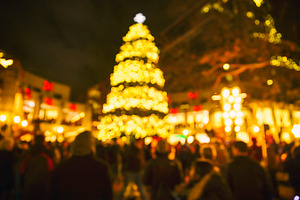 lights on the Christmas tree