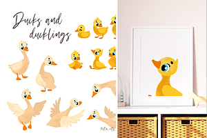 Ducks and ducklings