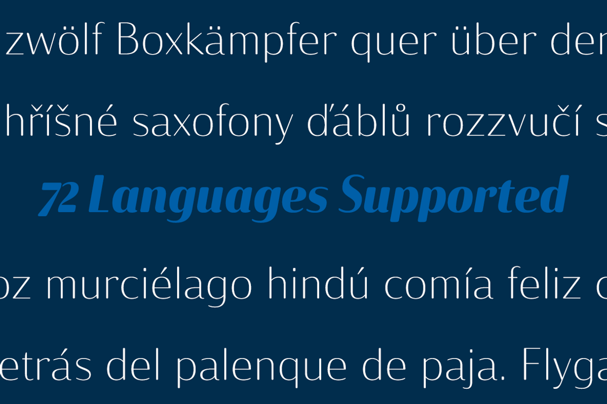 Solitas Contrast, a Sans Serif Font by insigne (Photo 4 of 5)