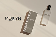 Mollyn Typeface, a Sans Serif Font by alit design (Thumbnail 9 of 17)