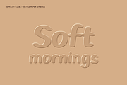 Apricot Club Bold Handwritten Brush, a Handwritten Font by Colorsfav (Thumbnail 10 of 11)