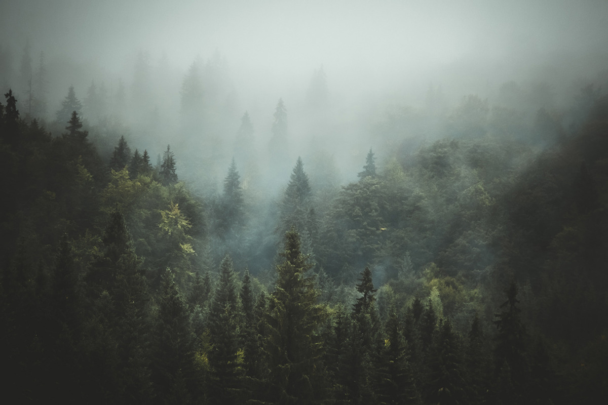 Moody Lightroom Presets - Soft Light, an Action Add-On by PhotoMarket (Photo 4 of 33)