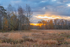 Forest and fields in late autumn., a Photo by Pictures for you!!!!!!!!!