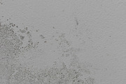 Mold Wall Texture Pack, a Texture Graphic by The_DrX (Thumbnail 7 of 13)