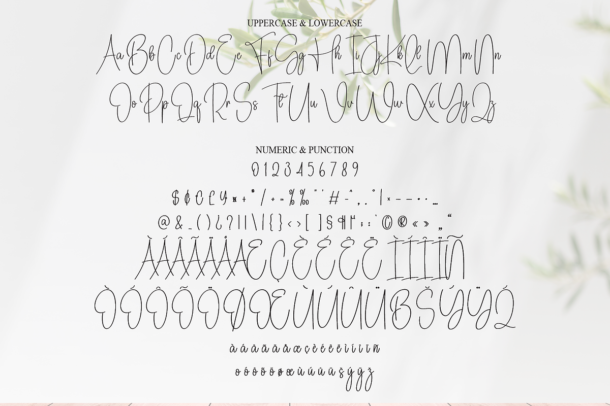 California Signature | Script Font, a Handwritten Font by Scratchones (Photo 7 of 8)