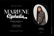 Dantene - Modern Calligraphy Font, a Font by Grezline Studio (Thumbnail 7 of 13)