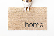 Golden Pear | Cute Sans Font, a Sans Serif Font by KA Designs (Thumbnail 8 of 10)