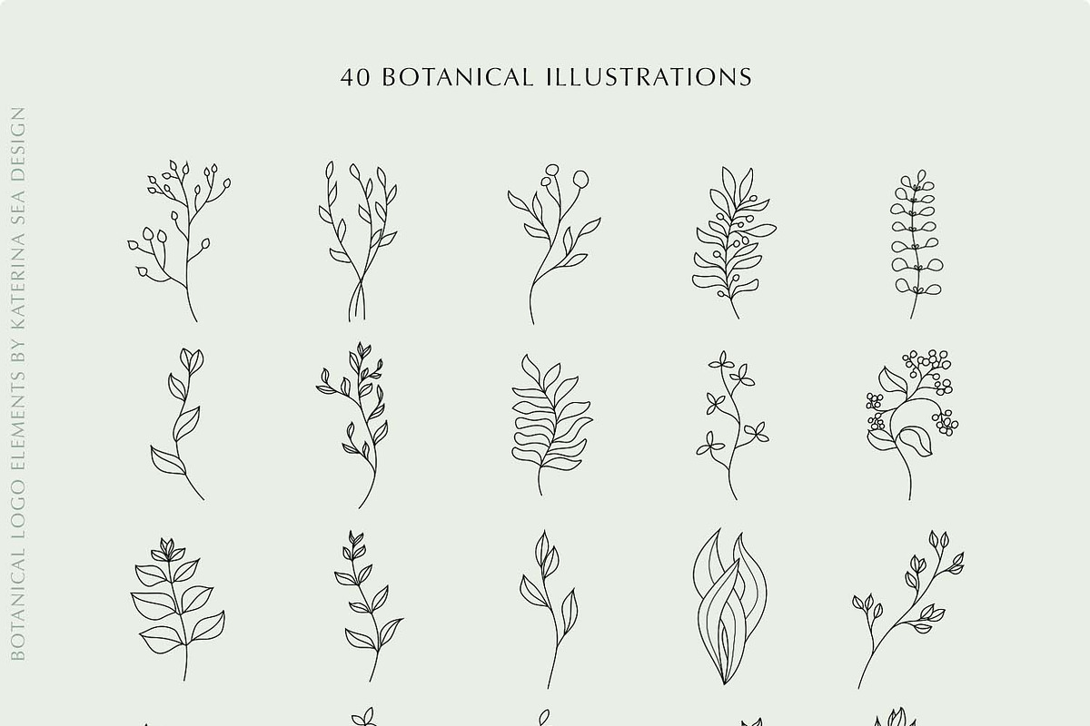 Botanical line art logo elements, a Branding & Logo Template by Katerina.Sea.Design (Photo 5 of 11)