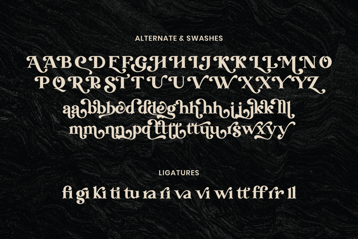Transcity - A Playful Serif, a Serif Font by Dharmas Foundry (Photo 15 of 16)