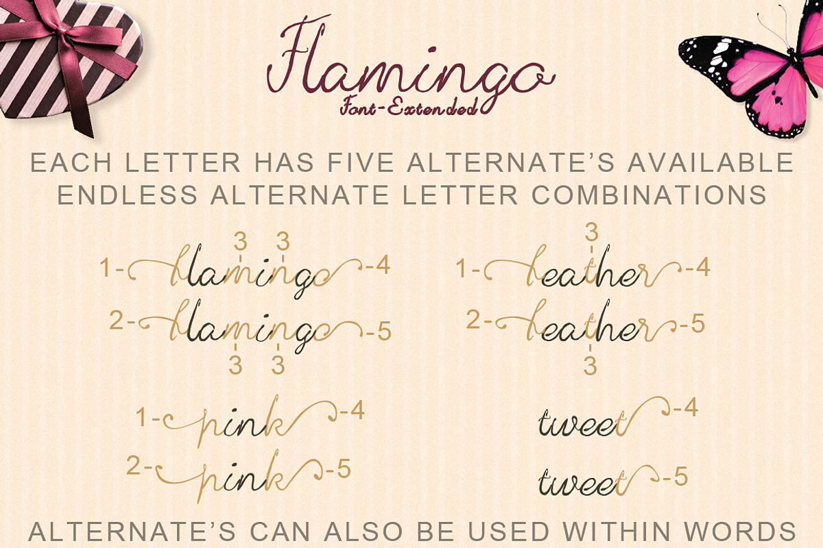 Hand Drawn Flamingo Font, a Script Font by tmcom