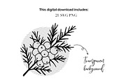 Christmas Floral Clipart & Patterns, a Seasonal Illustration by ArtGiftsStudio (Thumbnail 5 of 5)