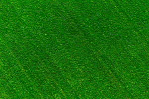 Green artificial grass pattern, a Texture Graphic by Pushish Images