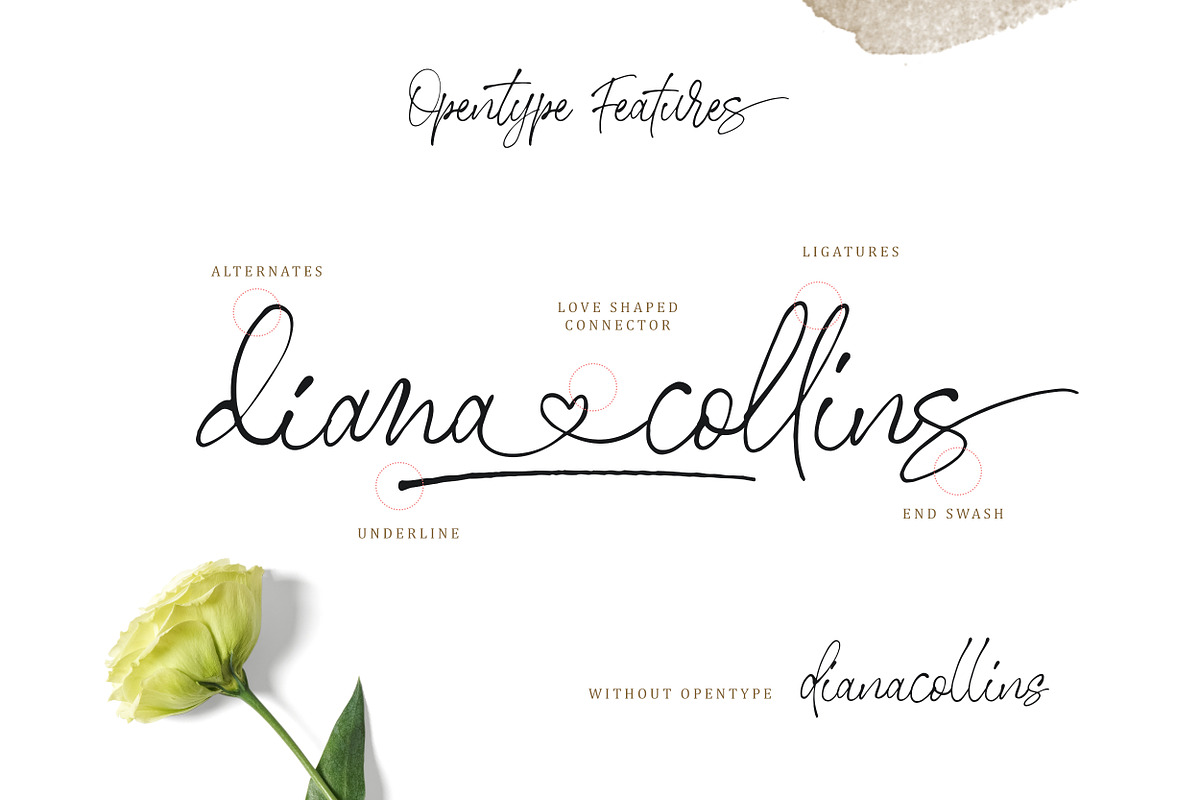 Stephen & Gillion - Signature Script preview 2