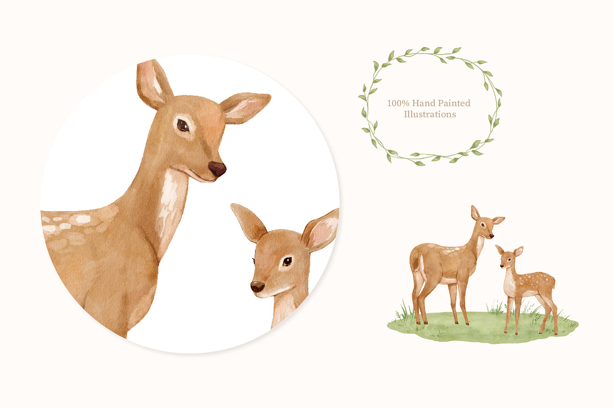 Watercolor Forest Animals Clipart, an Animal Illustration by ElenaPlatovaArt (Photo 8 of 18)