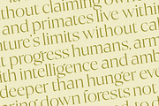 Bigest Karath Thin Serif Display, a Serif Font by timelesstype.co (Thumbnail 15 of 20)