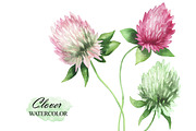 Watercolor clovers clipart, an Illustration by OlDm_Shop (Thumbnail 4 of 6)
