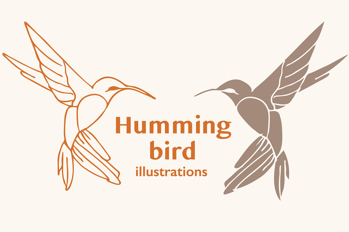 Humming bird vector illustrations, an Animal Illustration by Annakaroline