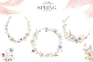 Spring Flower Collection