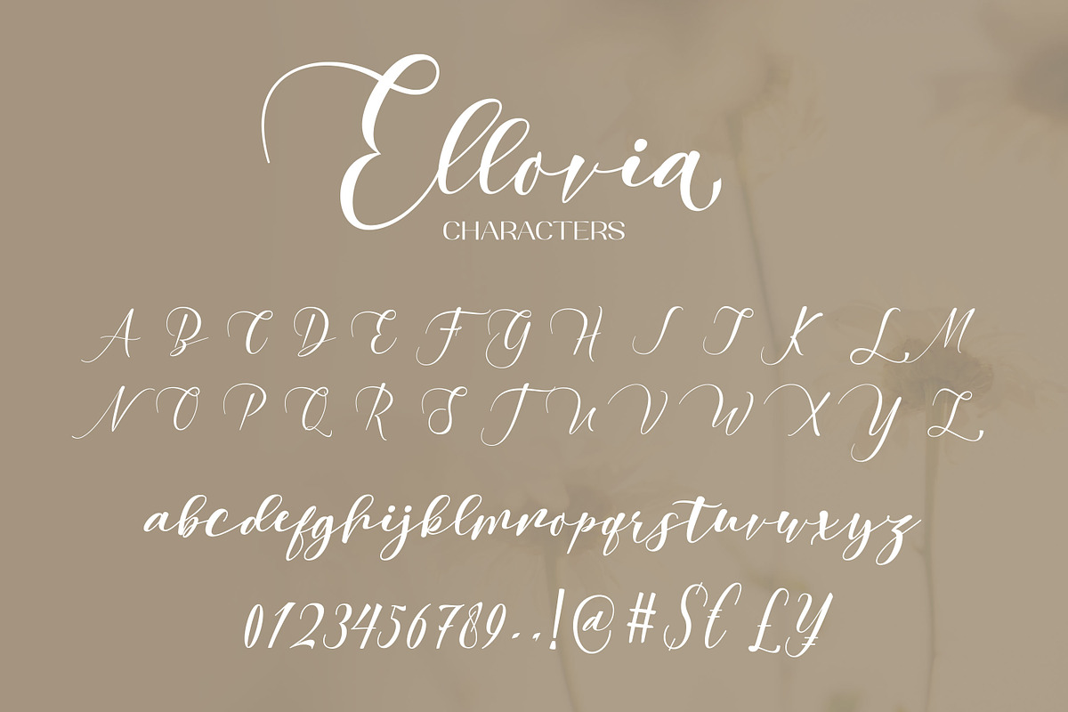 Ellovia | Script Font, a Script Font by Ekahermawan (Photo 11 of 14)