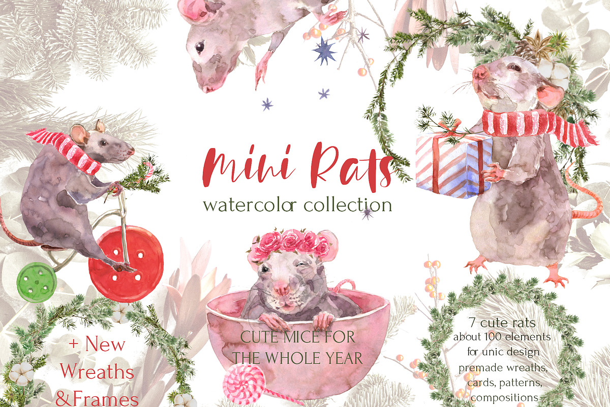 Mini Rats Watercolor Collection, an Illustration by Cat In Colour (Photo 1 of 10)