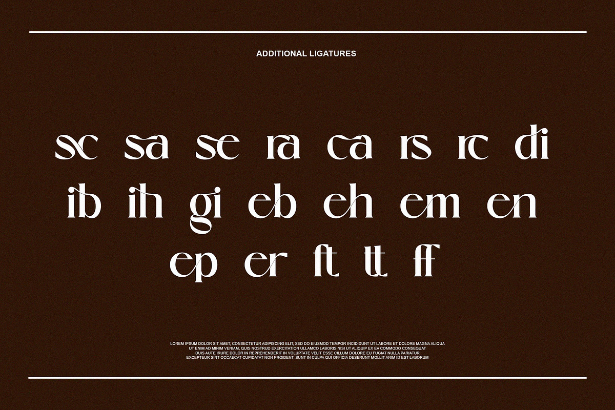 Qilsand Elegant Ligature Serif, a Serif Font by Alfinart (Photo 8 of 10)