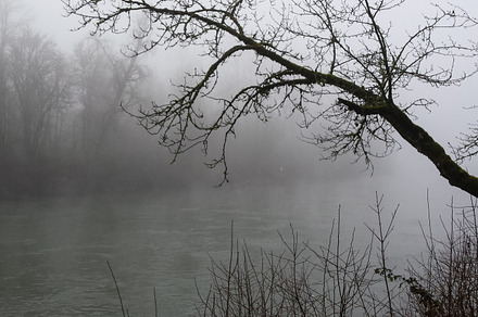 Foggy days 9 featuring fog, oregon, and pacific northwest