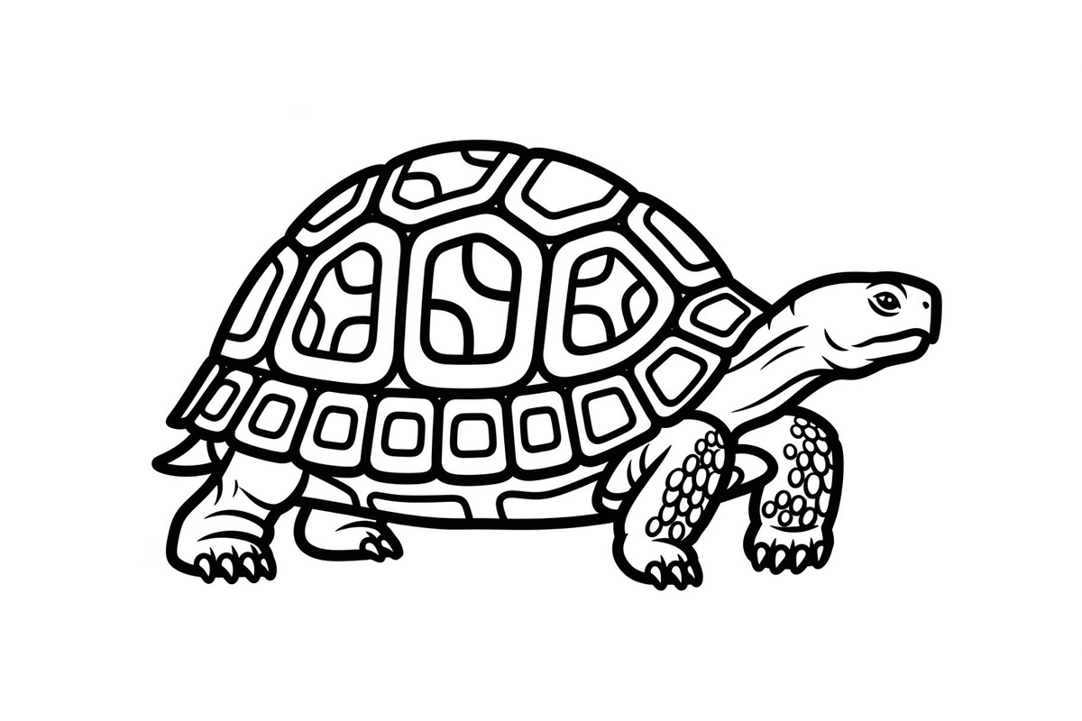 Turtle Line Art Illustration Bundle, an Illustration by Creativeshirt (Photo 43 of 48)