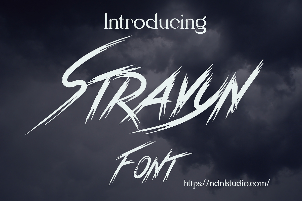 Stravyn - Brush Font, a Font by NDNL Studio (Photo 1 of 6)