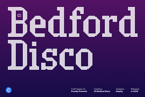 CS Bedford Disco, a Slab Serif Font by Craft Supply Co.