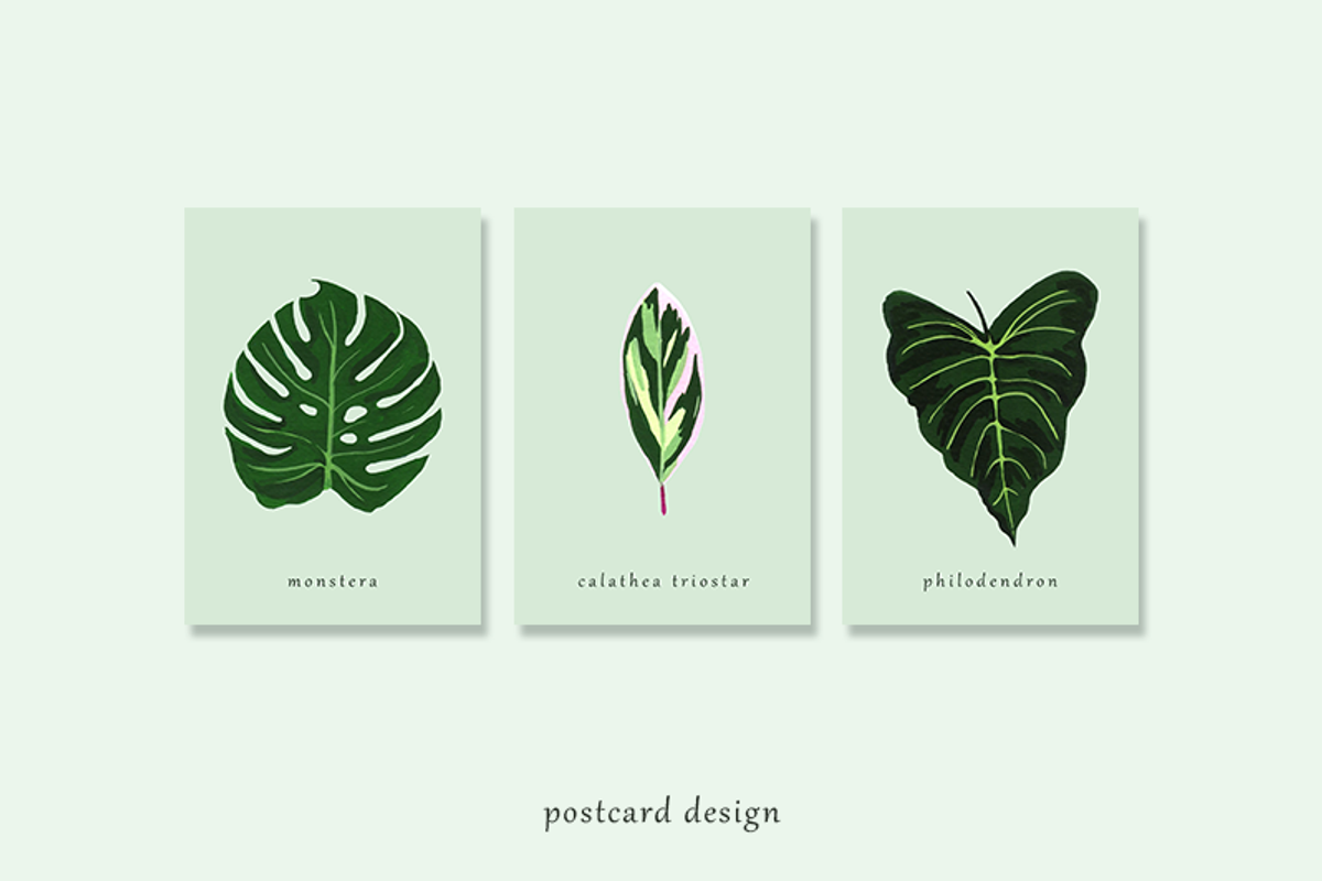 Tropical Leaves Drawing Set, a Decorative Illustration by elpple (Photo 6 of 6)