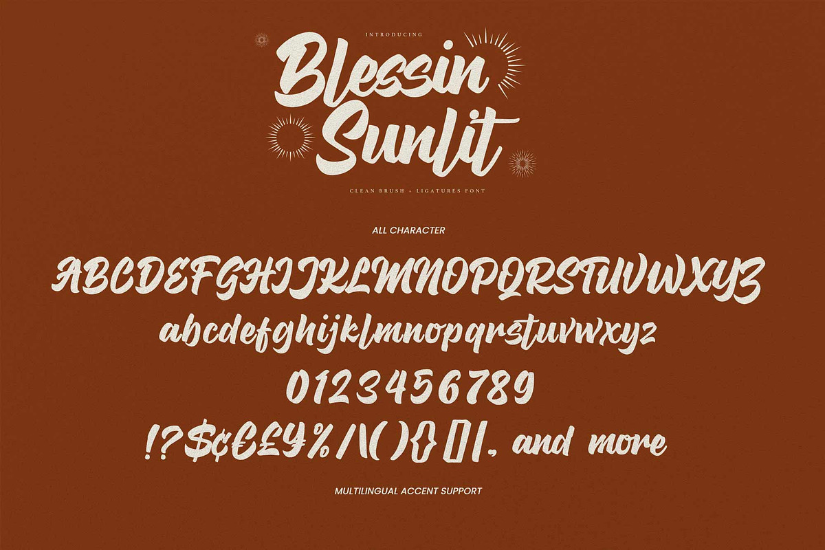 Blessin Sunlit – Clean Brush, a Handwritten Font by Gassstype (Photo 6 of 8)