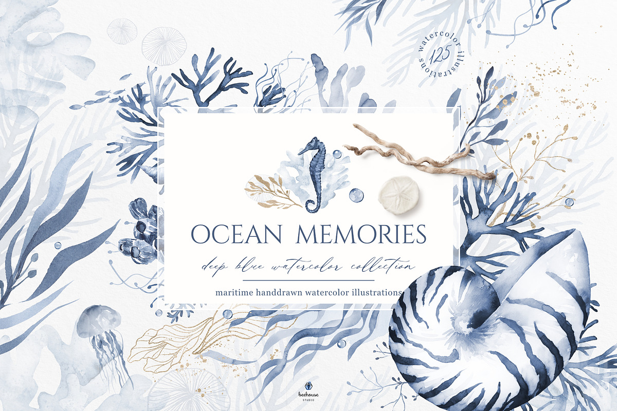 Ocean Memories Underwater Collection, an Animal Illustration by beehouse studio (Photo 1 of 12)